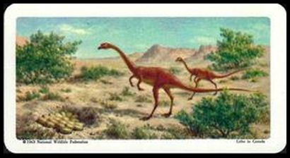 12 Oviraptor